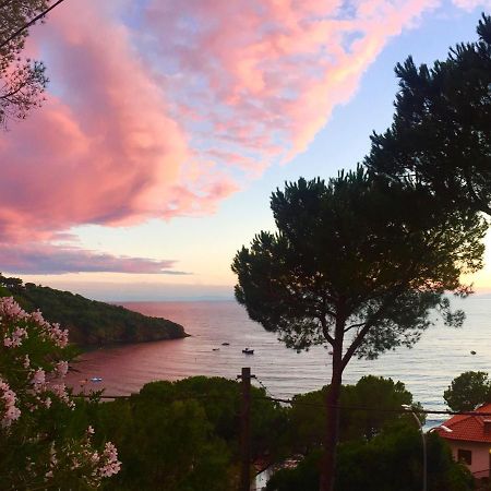 Le Terrazze di Pareti Appartamento Capoliveri  Esterno foto