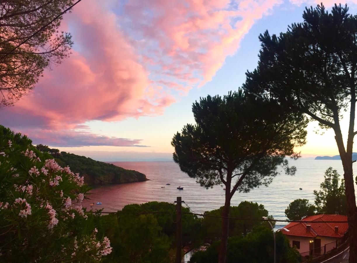 Le Terrazze di Pareti Appartamento Capoliveri  Esterno foto